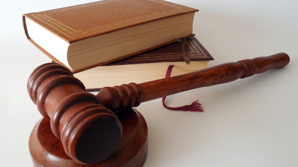 Prečišćeni plan nabavki za 2025. godinu